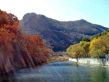 新澳门二四六天天彩，包装流水线厂家